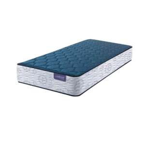 COLCHON ESPUMA INDUCOL LINEA DORADA PREM 30KG 1,00 X 2.00 X 0.26
