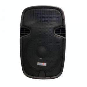 AUDIO CICLOS PP2115 BAFLE 15" INYECTADO PRO